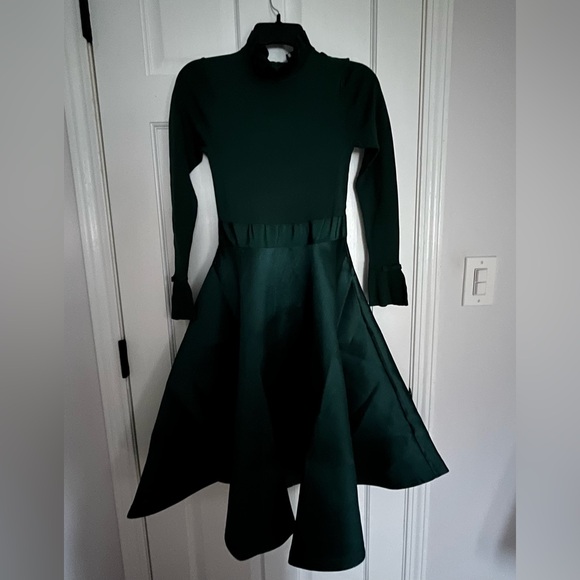 BNWT TED BAKER ZADI DRESS - Picture 4 of 11